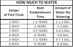 How Much Water