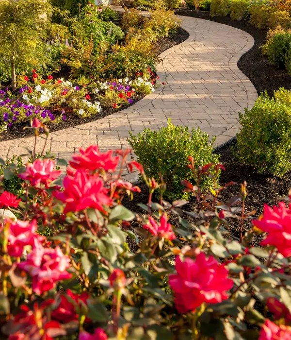 our landscape service